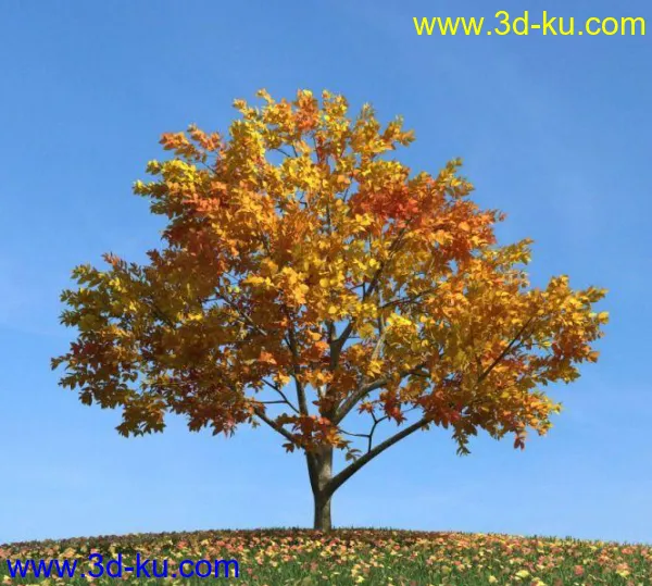 精致的金黄色树叶的小树（带贴图）模型的图片1