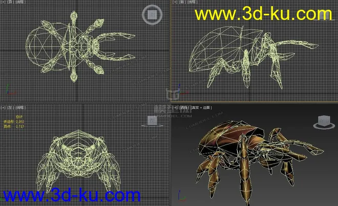 甲虫模型的图片4