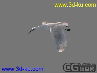 3D打印模型飞鸟(贴图)的图片