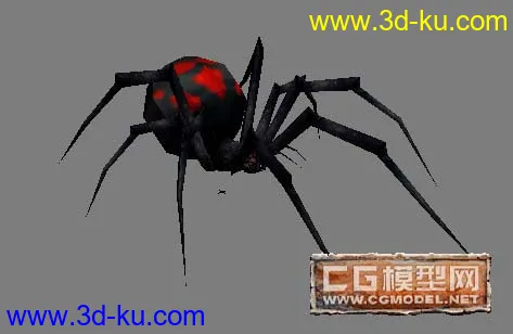 蜘蛛模型的图片1