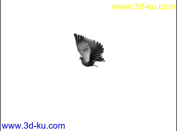 和平鸽 绑定骨骼 已K动画模型的图片1
