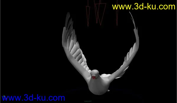 和平鸽 绑定骨骼 已K动画模型的图片3