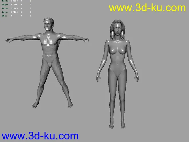 标准人体模型集合包的图片2