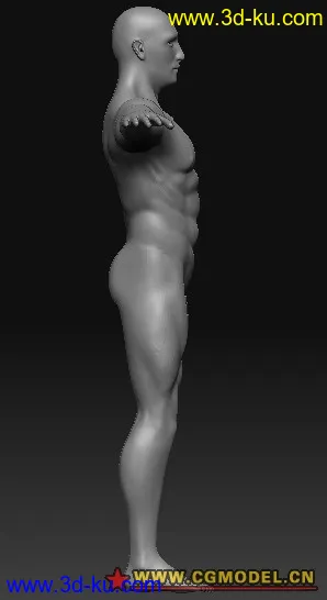 最近做的男人体素模模型的图片1