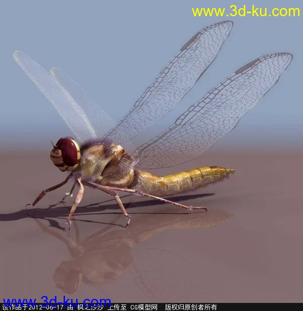 蜻蜓，蜻蜓侠 精模模型的图片1