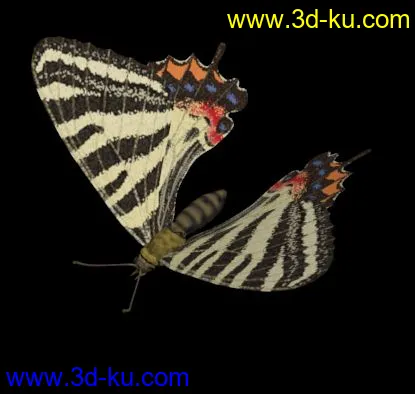 一直蝴蝶和十只花的模型下载的图片9