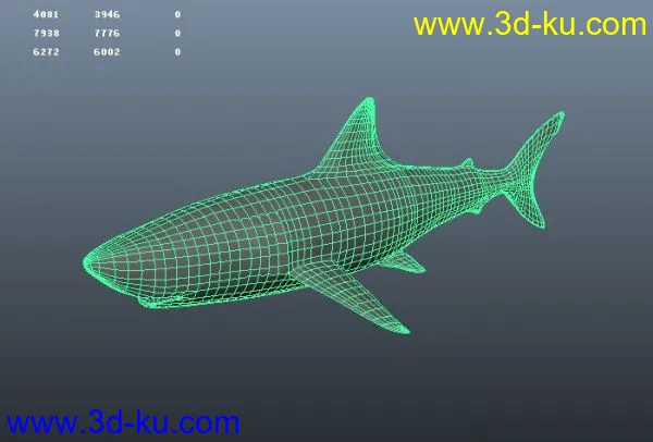 大白鲨 嘿嘿嘿嘿、、、、、模型的图片1