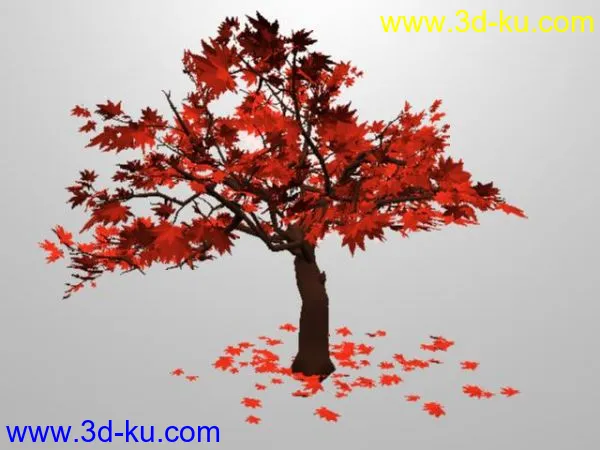 枫树模型的图片2