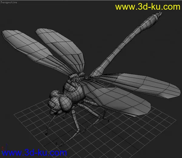 蜻蜓模型的图片1