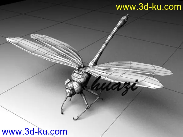 蜻蜓模型的图片2