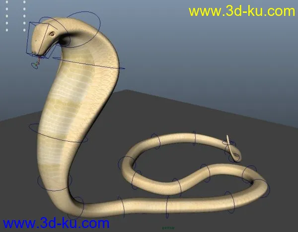 刚做出来的毒蛇之王-眼镜蛇maya模型下载！ 带绑定 带贴图！超值！的图片1