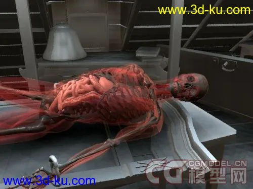 实验室里的透明人骨架MAYA模型,带骨骼和绑定的图片2
