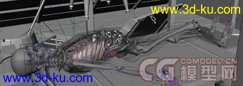 实验室里的透明人骨架MAYA模型,带骨骼和绑定的图片3
