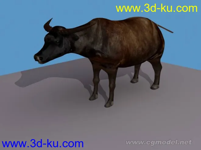 水牛模型的图片1