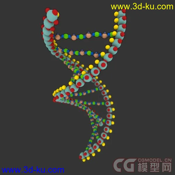DNA 分子链模型的图片2