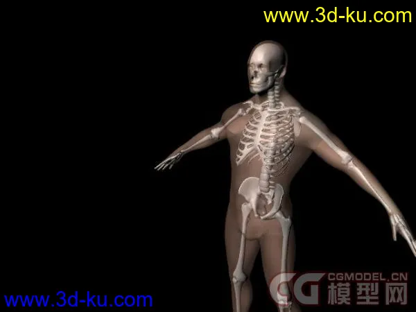 MAYA制作的人体模型带人体骨骼 绑定 材质和贴图的图片1