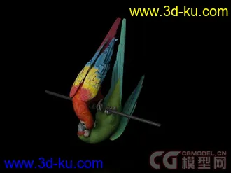 3D打印模型画眉的图片