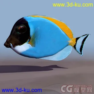 3D打印模型各种动物和昆虫的图片