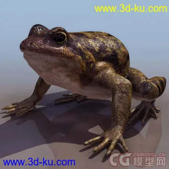 3D打印模型各种动物和昆虫的图片