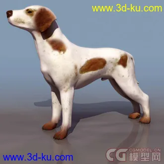 3D打印模型各种动物和昆虫的图片