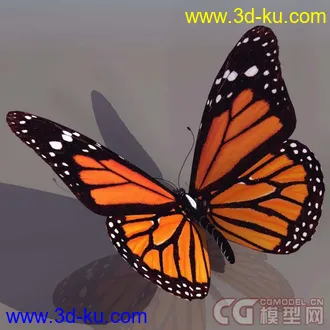 3D打印模型各种动物和昆虫的图片