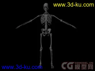 3D打印模型LEE李小龙的图片