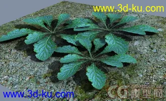 3D打印模型小草一棵的图片