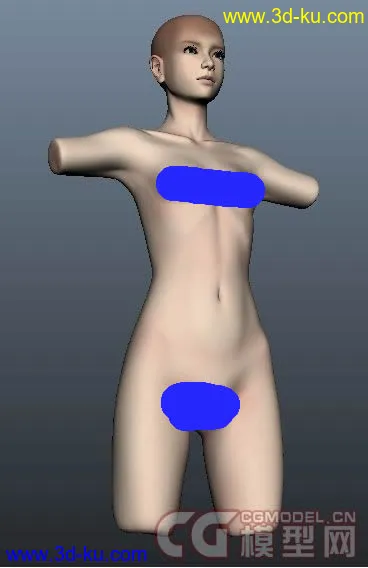 女体躯干模型下载，各部位细节逼真的图片1