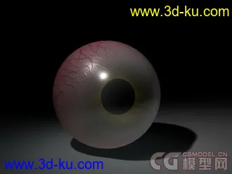 3D打印模型眼球的图片