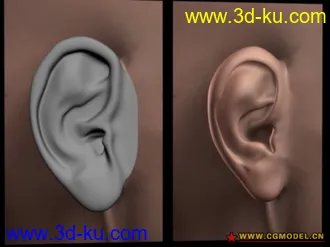 3D打印模型耳朵的图片