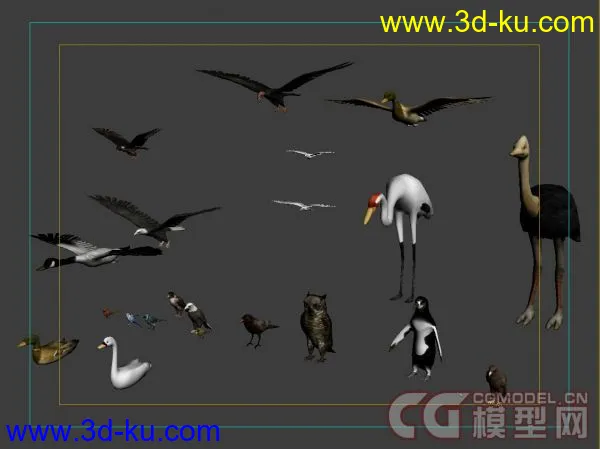 各种鸟模型的图片1