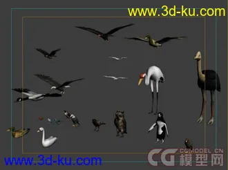 3D打印模型各种鸟的图片