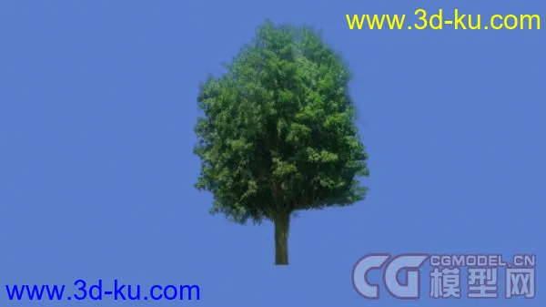 景观树模型的图片1