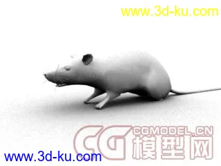 老鼠模型的图片1