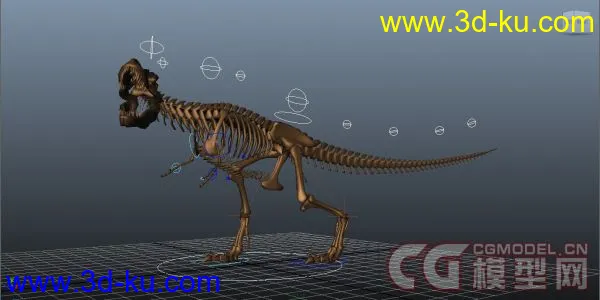 恐龙骨架，带绑定！模型的图片1