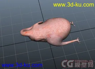 3D打印模型一只拔了毛的鸡的图片