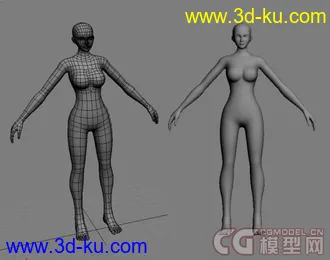 3D打印模型自己做的方便各种修改的男女裸模~~的图片