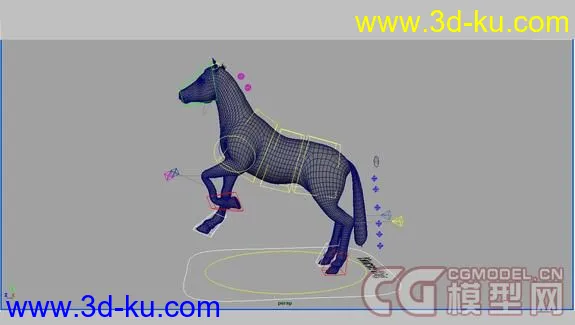 Horse绑定的马模型的图片6