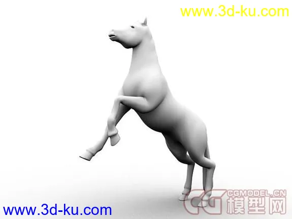 Horse绑定的马模型的图片9