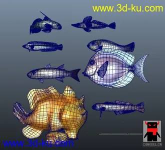 8个鱼模型带贴图材质的图片