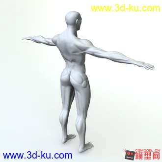 3D打印模型练习人体的图片