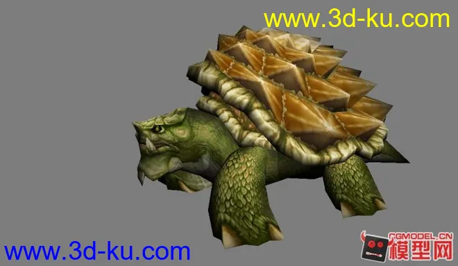 海龟 乌龟模型的图片1