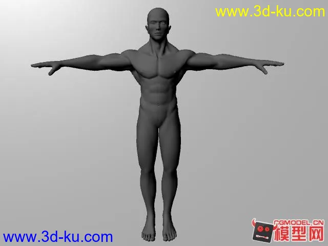 肌肉男模型的图片2