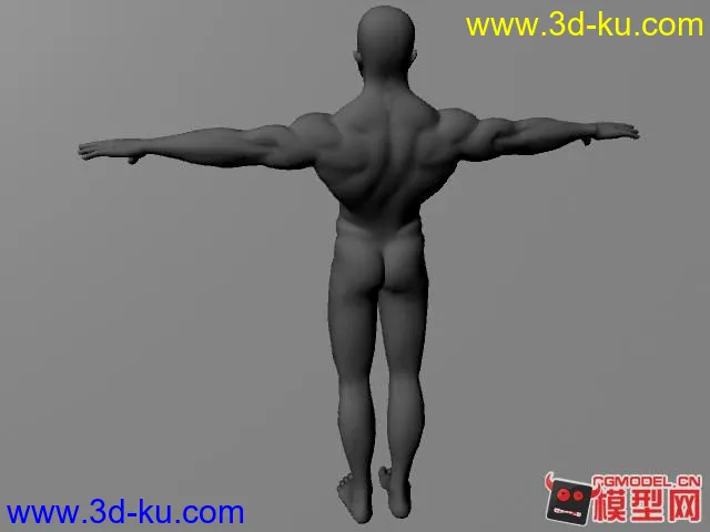肌肉男模型的图片3