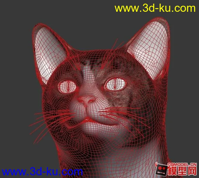 写实的黑猫模型的图片3