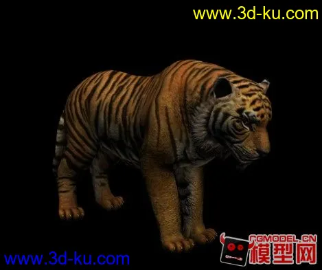 老虎模型的图片1