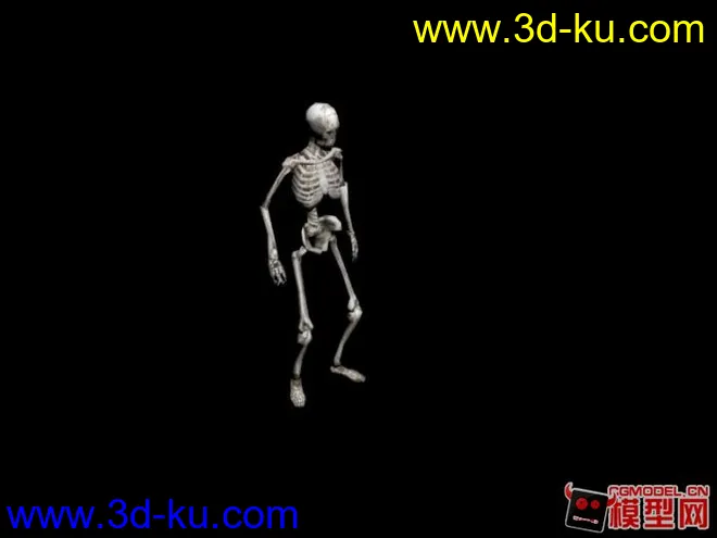 骷髅怪一套装备附加骨骼动画模型的图片11