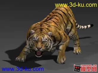 3D打印模型鸟 动物的图片