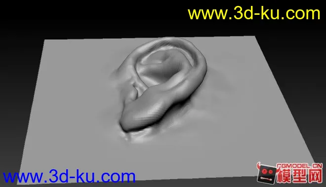 耳朵写实雕刻模型的图片1