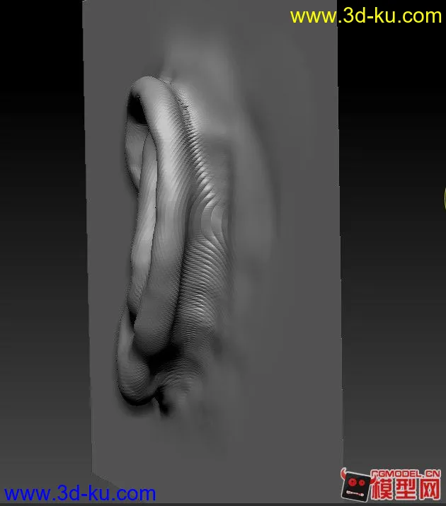 耳朵写实雕刻模型的图片3